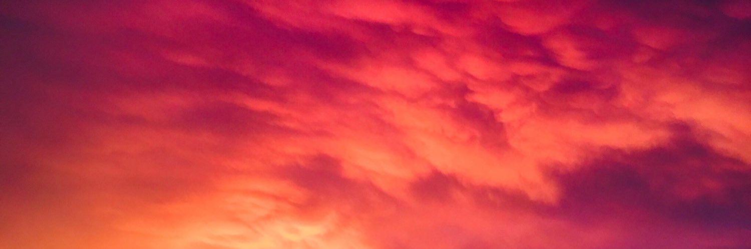 Mireya Garcia banner