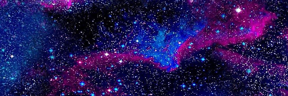 Pleasant Pigs banner