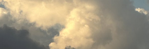 dsl0a2 Profile Banner