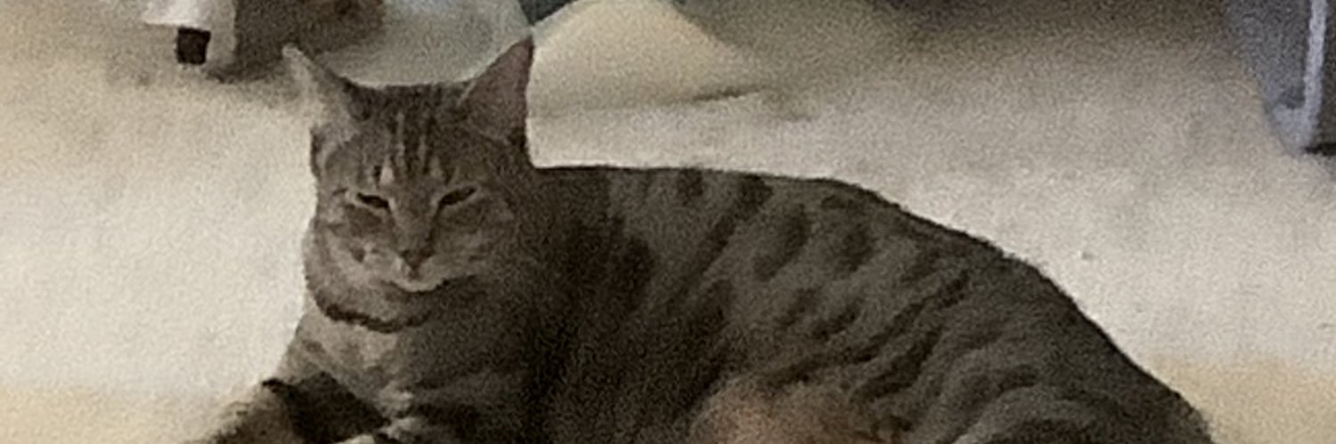 Presto Solutions banner