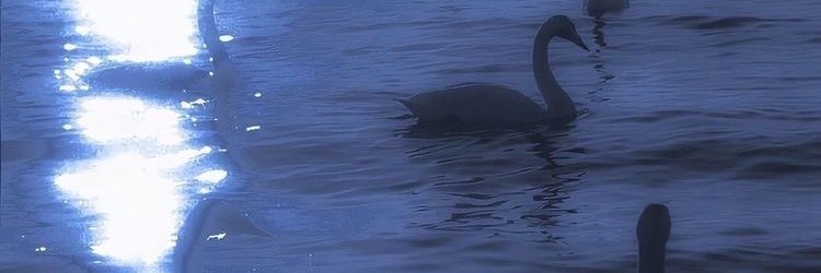 Ne0fficiall's profile banner image