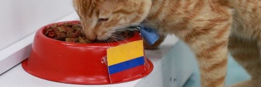emersonr01b's profile banner image