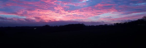 bolly36 Profile Banner