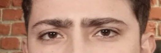 Literalmente Caputto banner