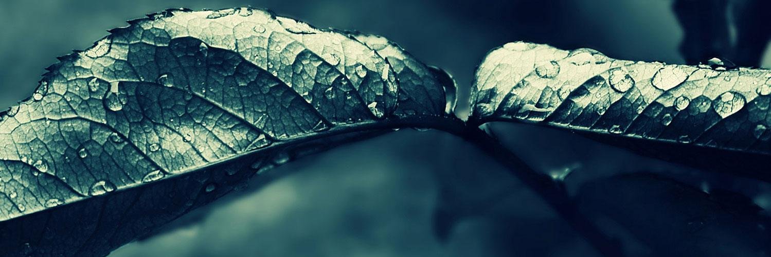 JoeNagy's profile banner image