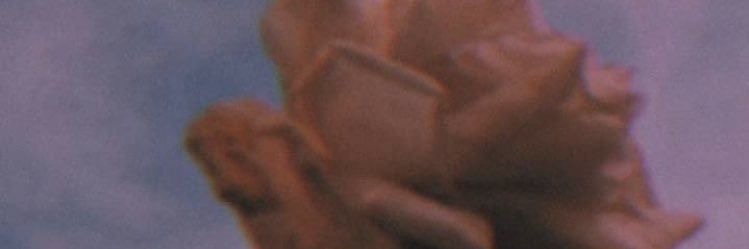 Stuckonnthem's profile banner image