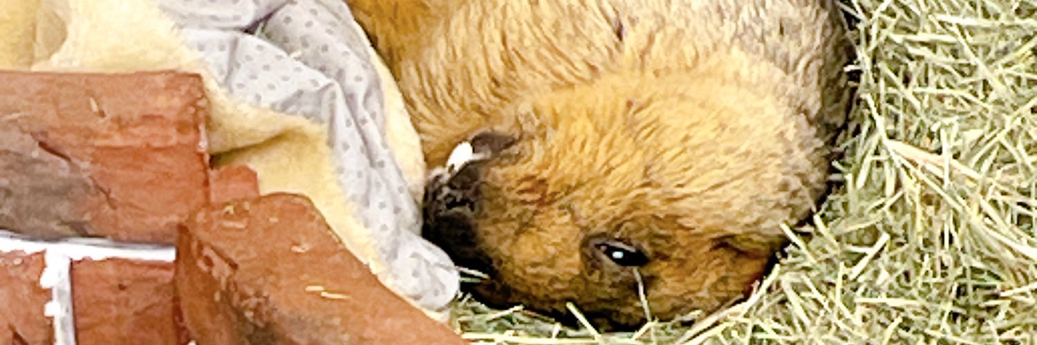____da_'s profile banner image