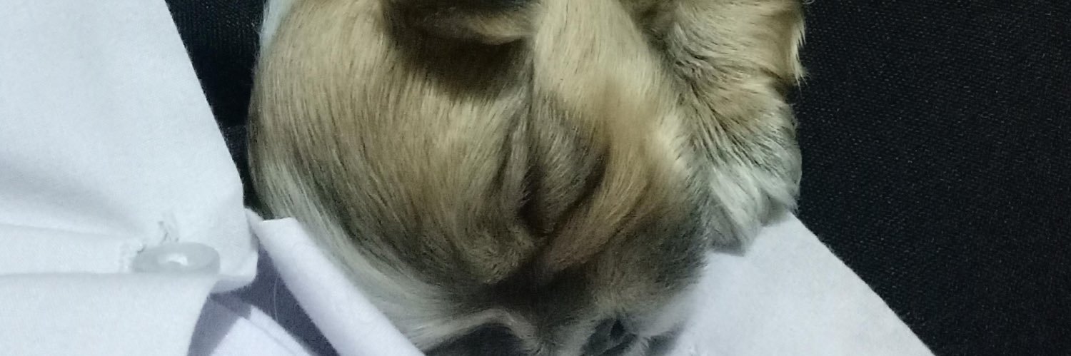 judeyacaba_'s profile banner image