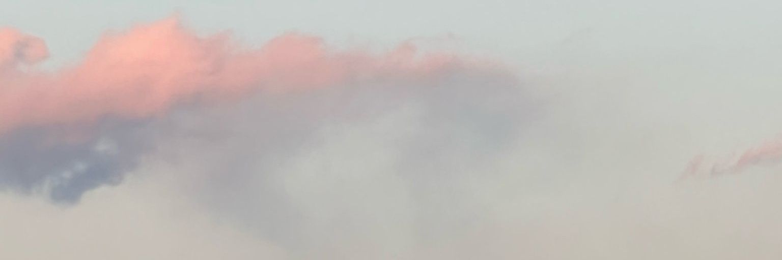 🌷 banner
