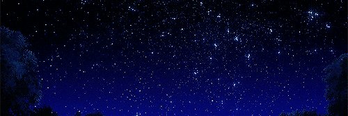 Lindzi Scharf banner