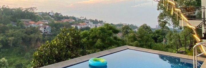 Chomper banner