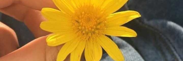 isyatir23's profile banner image