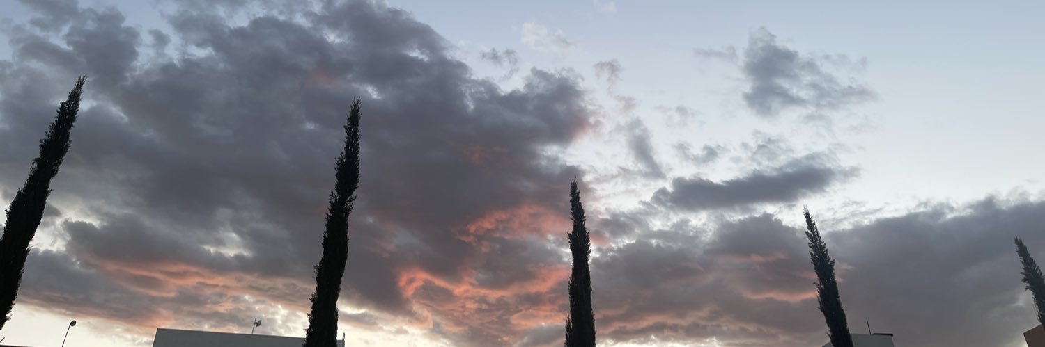 loremool's profile banner image
