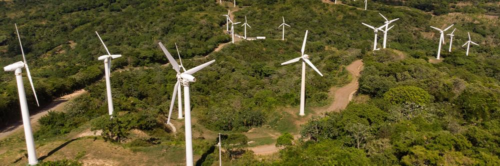 Green Power Global banner