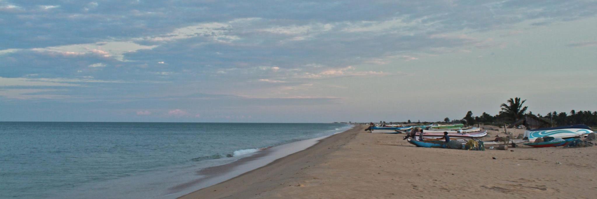 Nathasha Fernando banner