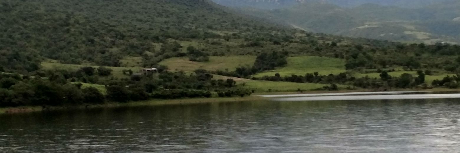 padvelin's profile banner image