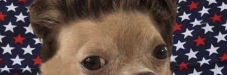 DLAhhh's profile banner image