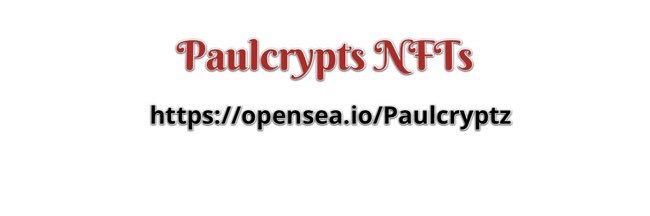 NftsPaulcrypts's profile banner image