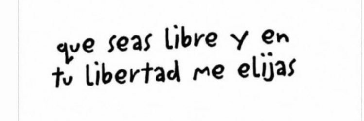 anitaparodi's profile banner image