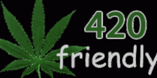 420friendly's profile banner image