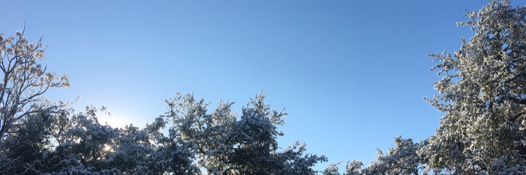 Jason Stoddard banner