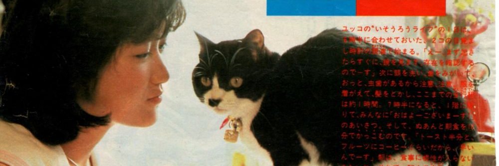 ilyukko's profile banner image