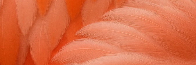 Asya Civelek banner