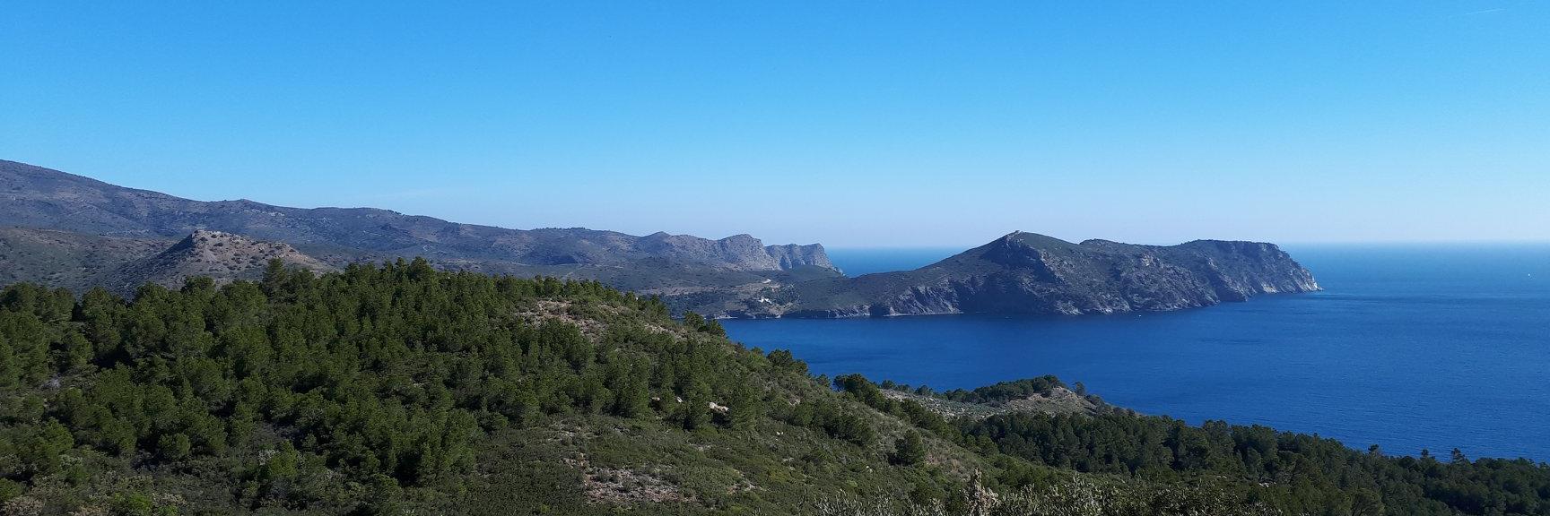 Enric de Vilalta ✊️ banner