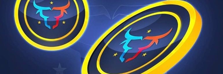 steffishaye banner