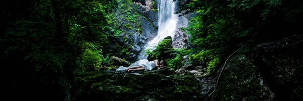 gunandcat Profile Banner