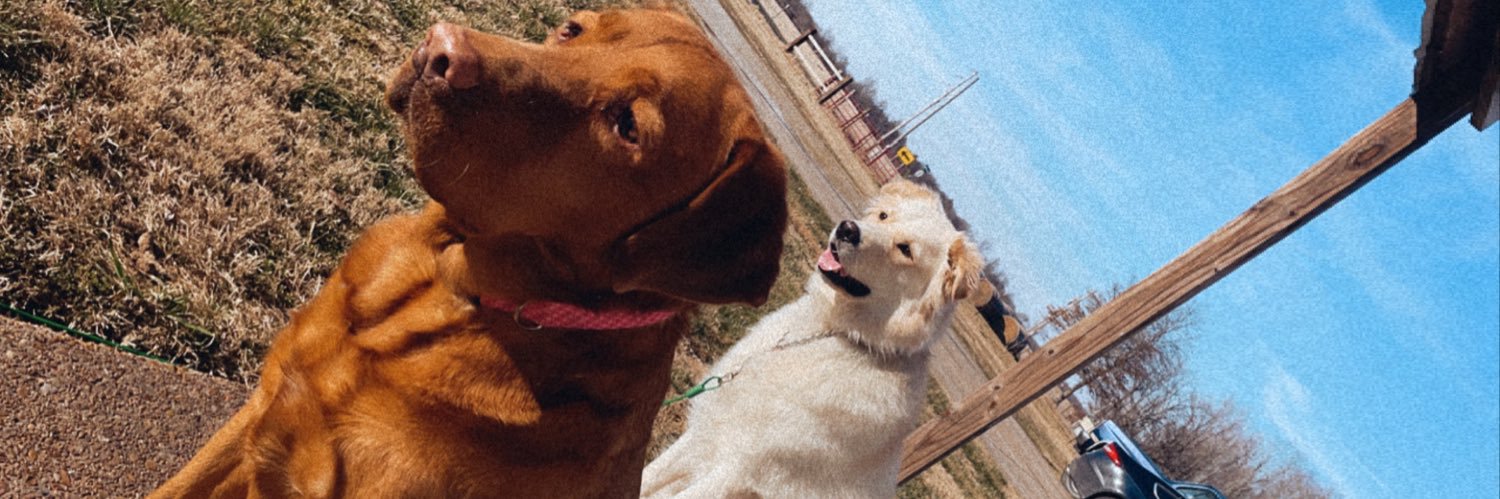 kaleyjones14's profile banner image