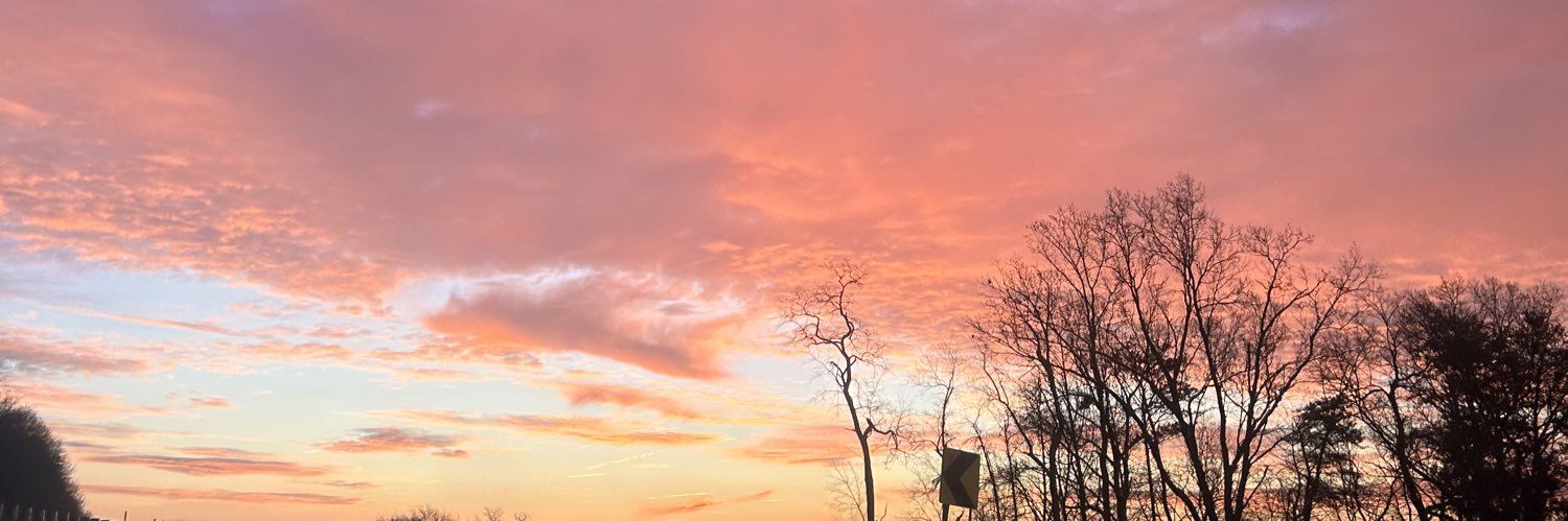 haleydanielson's profile banner image