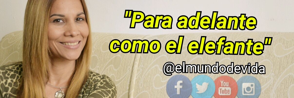elmundodevida's profile banner image