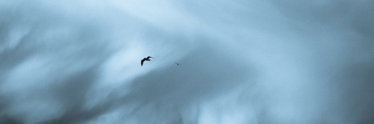 david_alexander's profile banner image