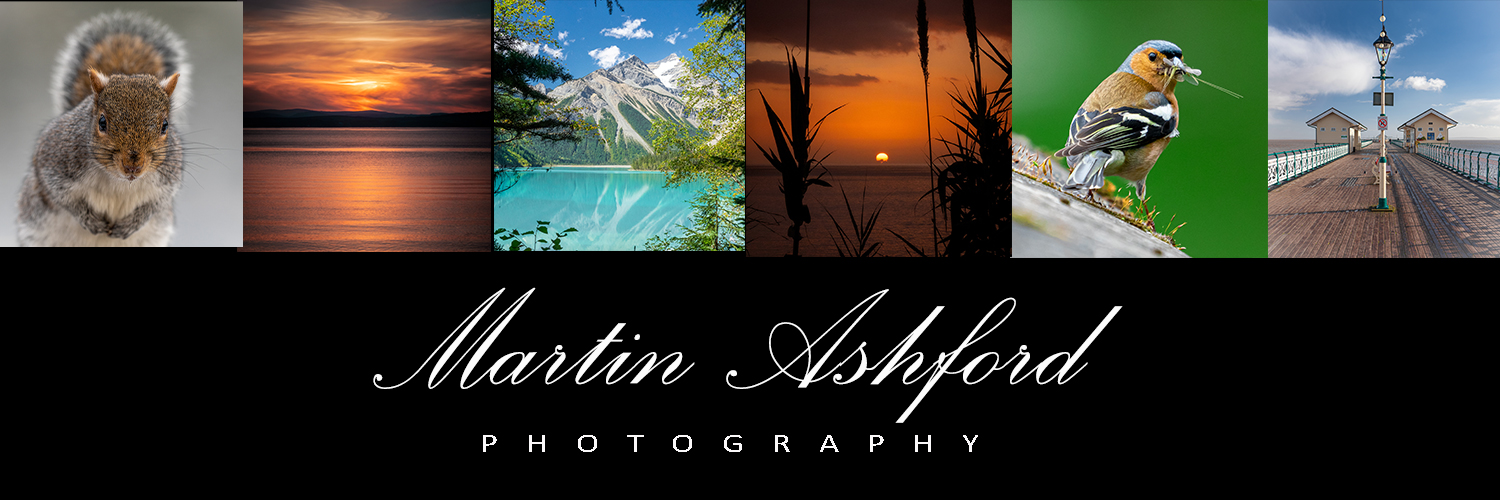 MartinA62370148's profile banner image