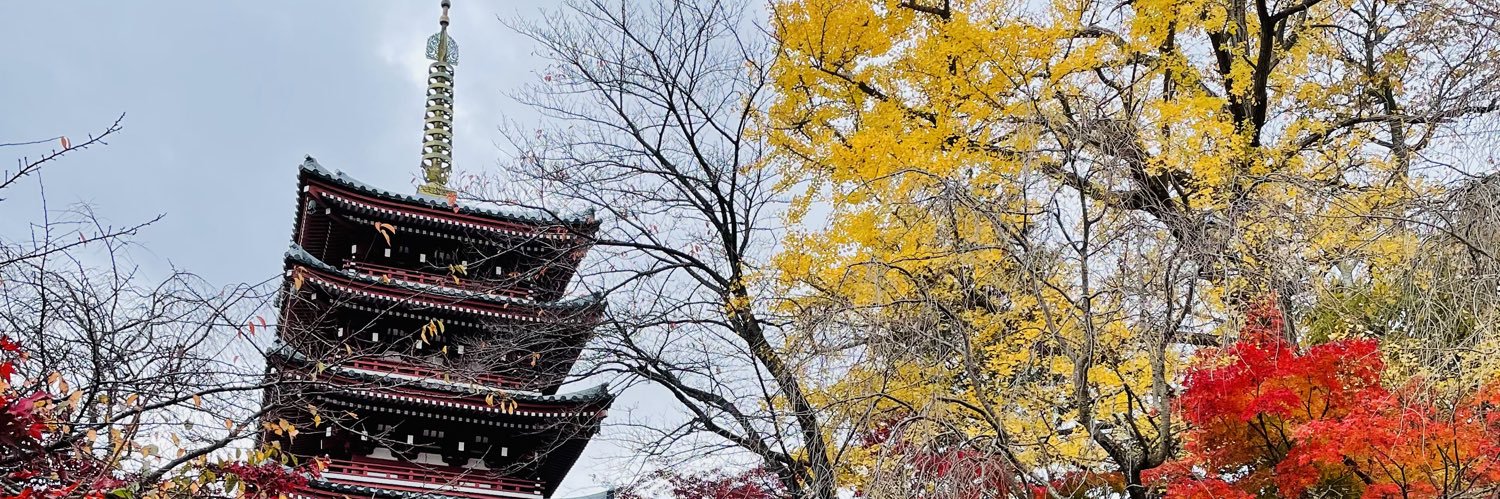たくや banner