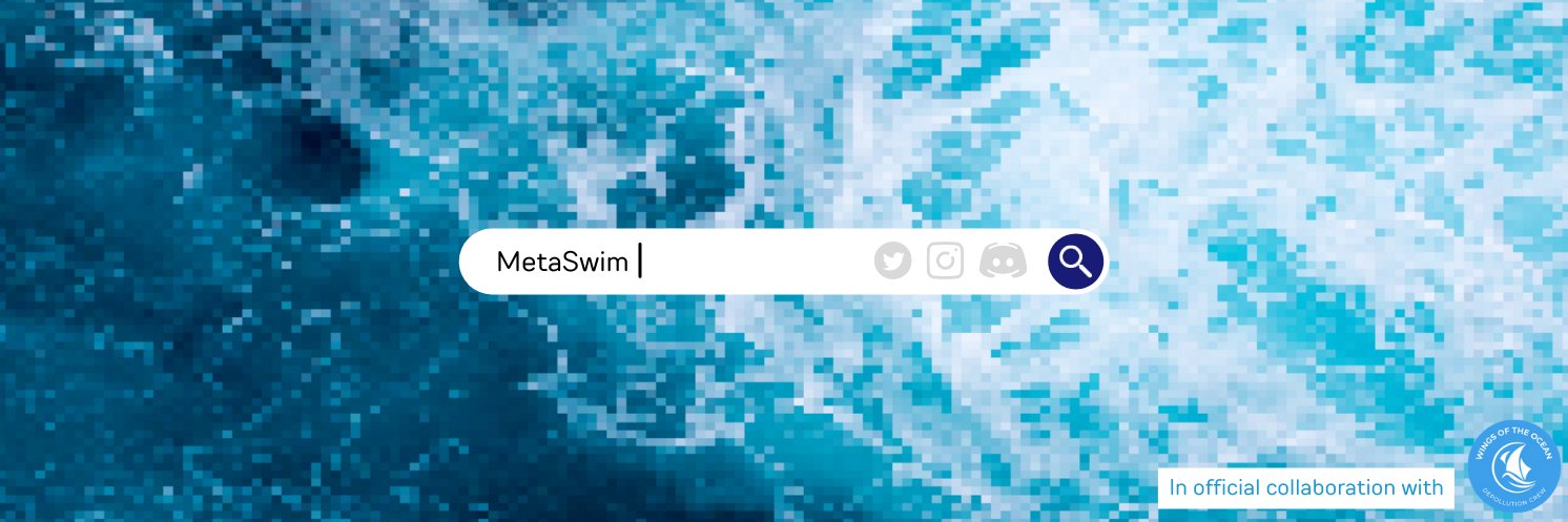Metaswim banner