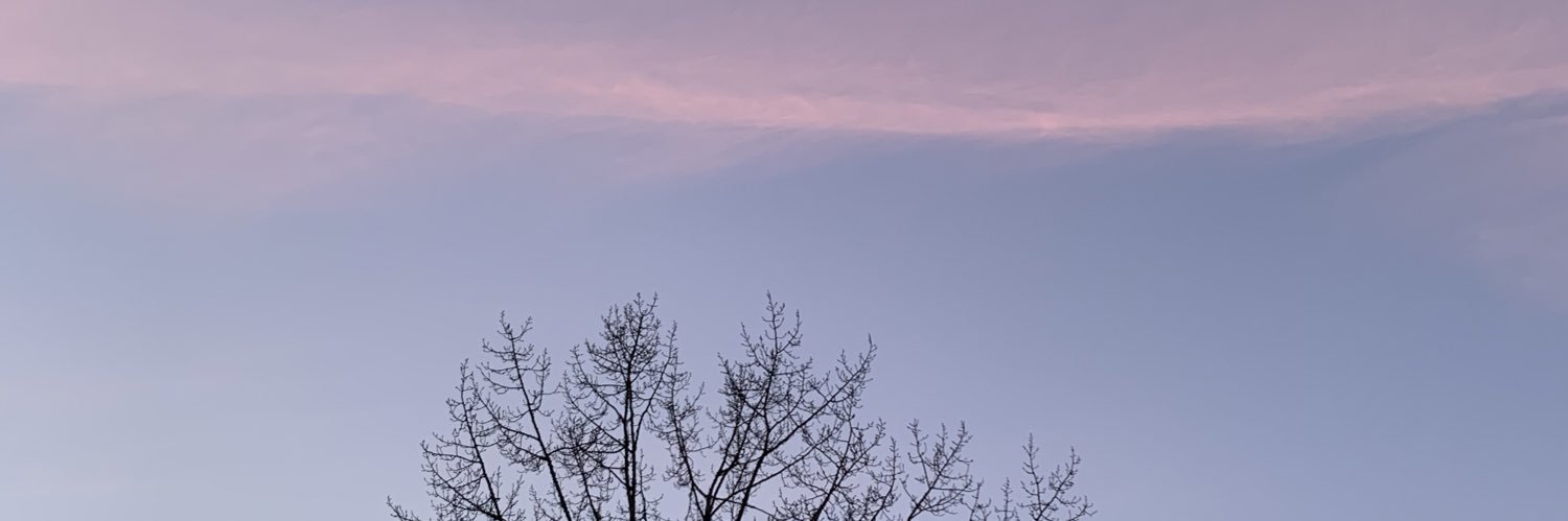 marcfong's profile banner image