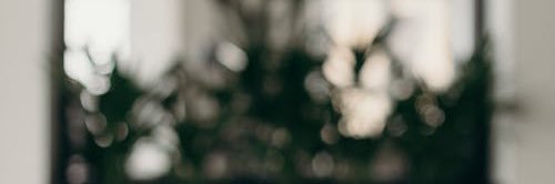 Malcolm Bryce banner