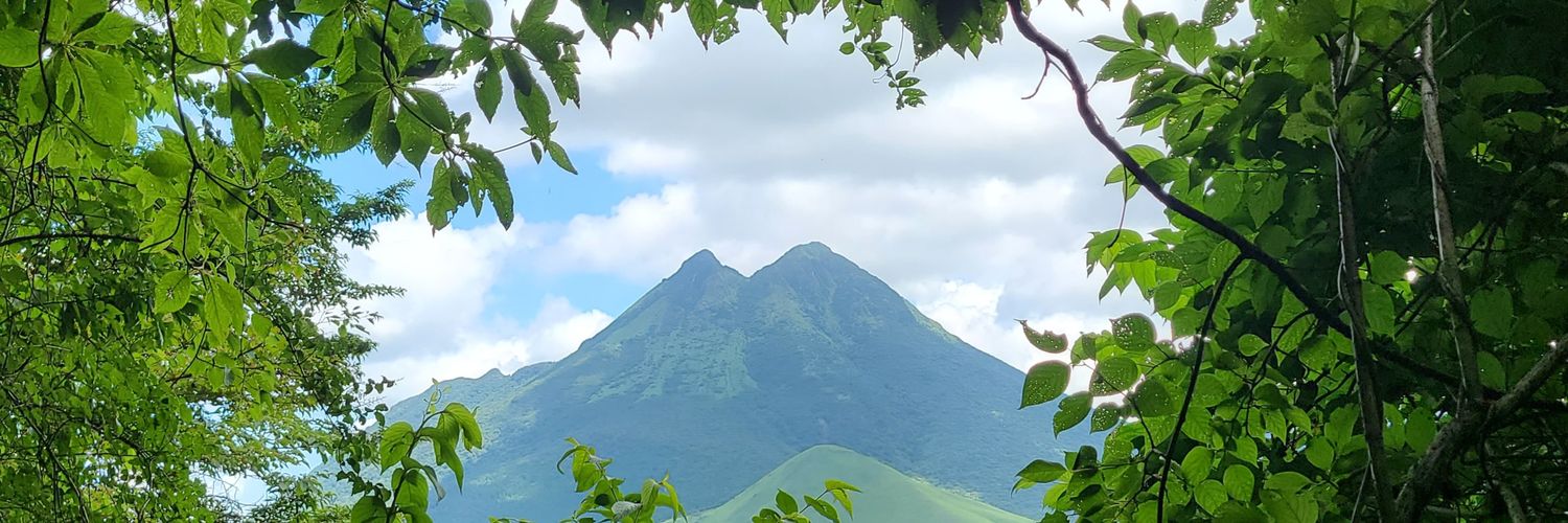 mitako220's profile banner image