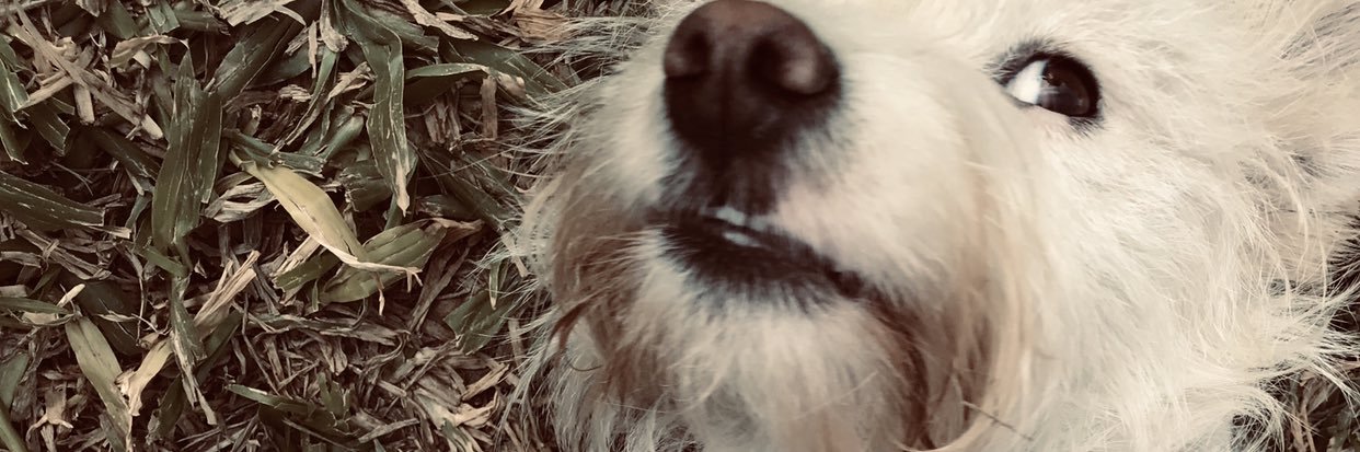 camidell1's profile banner image