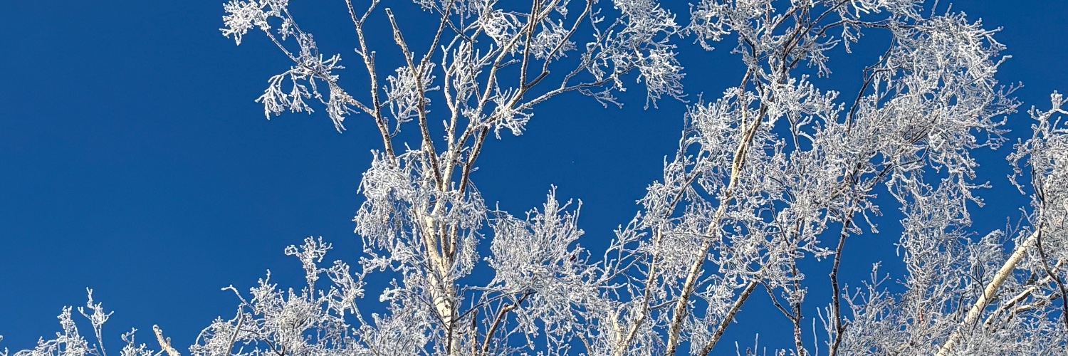 JIトウケツ馬鹿野郎 banner