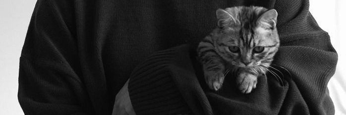 q. banner