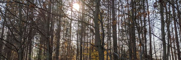 michaelroberts Profile Banner