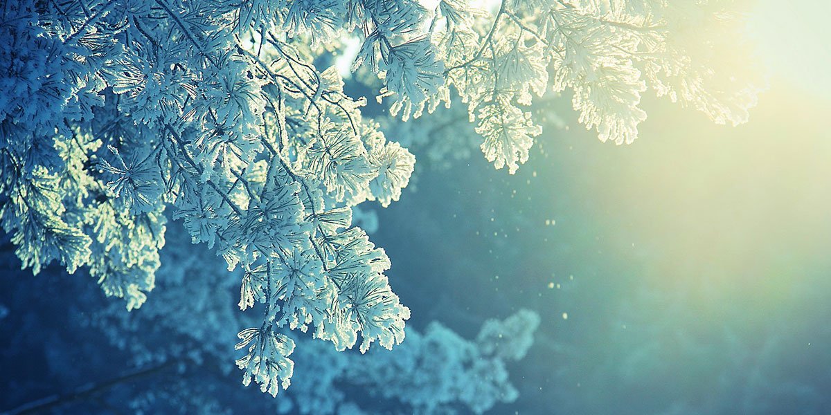 FrostbyteInc's profile banner image