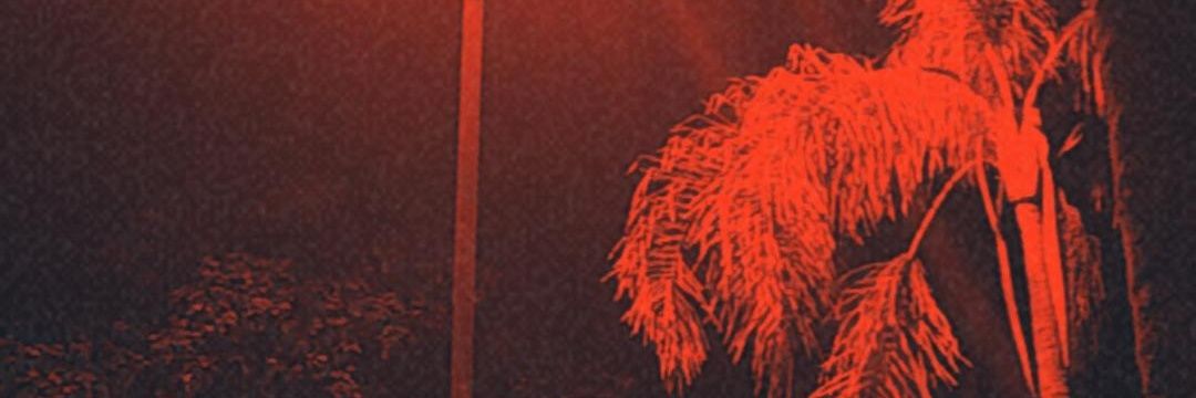 borsonello_'s profile banner image