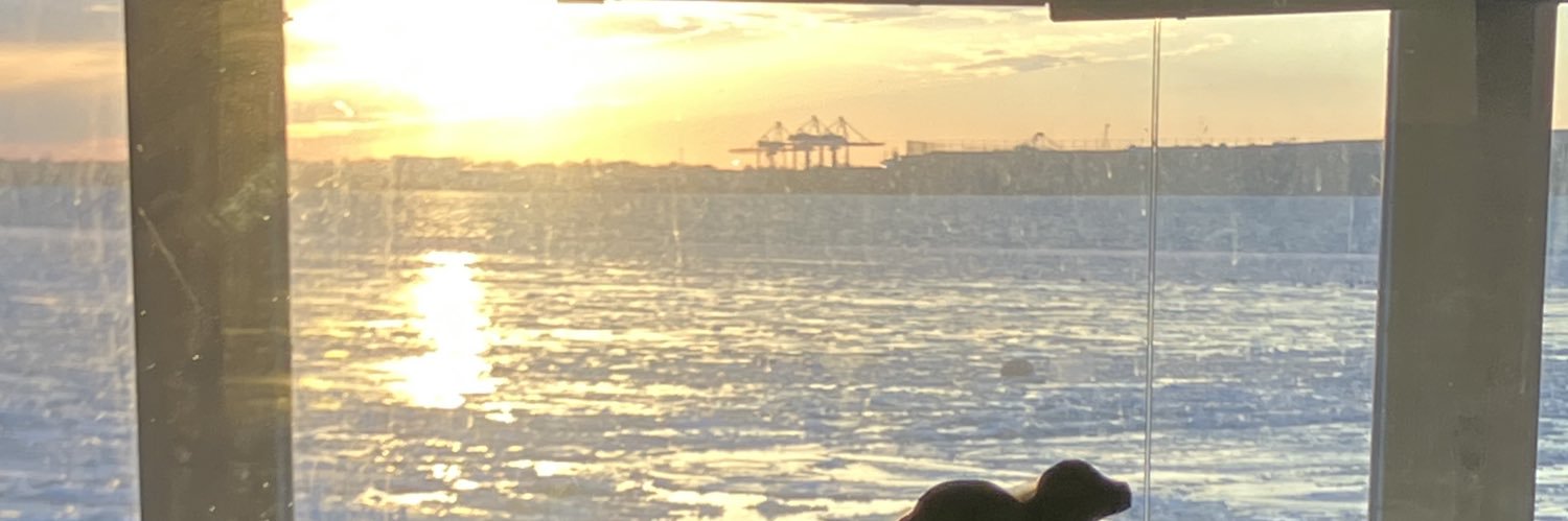 Nigel Phillips banner