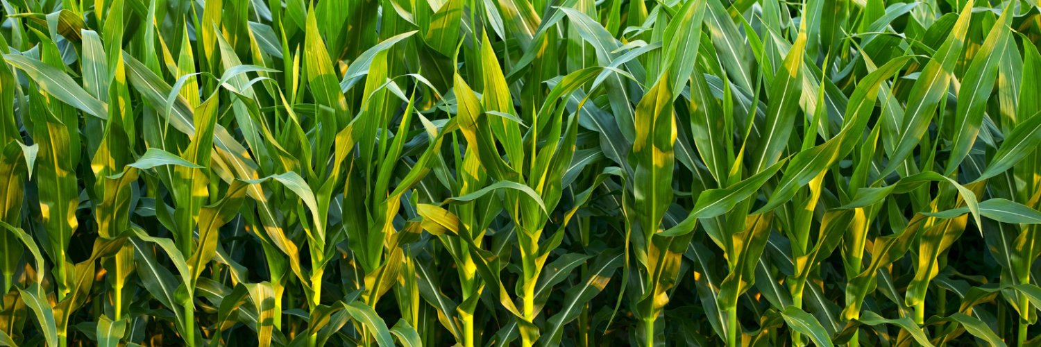 Bayer4CropsCA's profile banner image