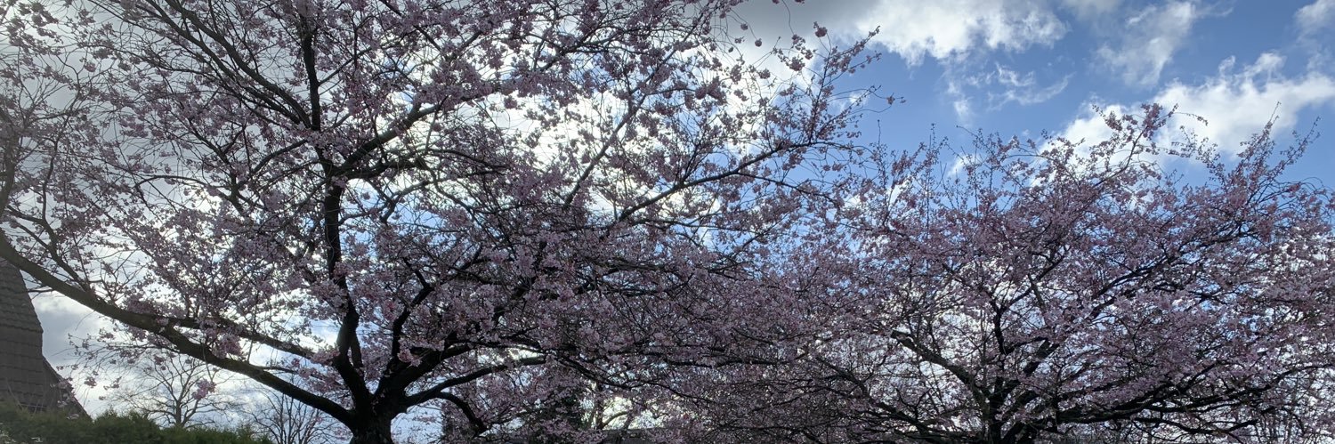 شهد banner
