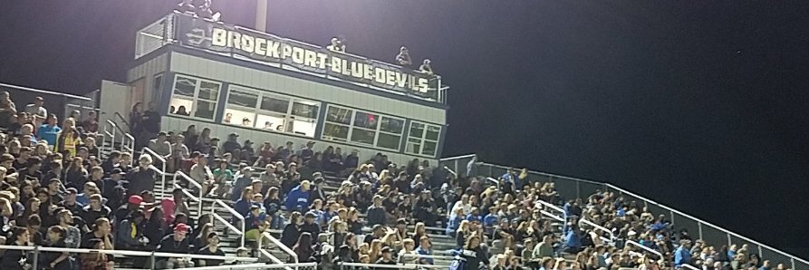 BCSDBlueDevils banner